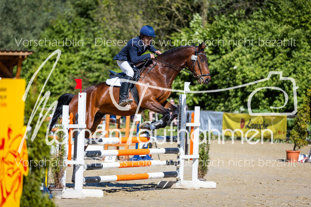 Donop24-A2Spr-067 | MomenTaufnahmen Pferdesportfotos