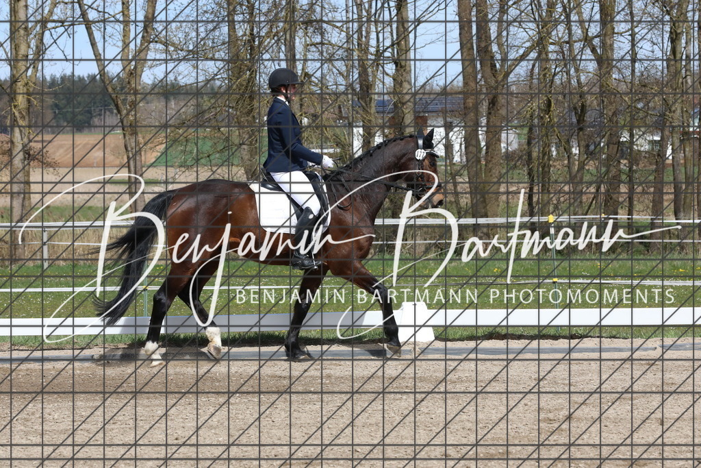 AZ2A3897 | Benjamin Bartmann Photomoments