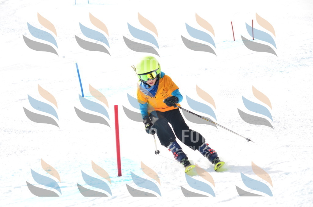 C8348 | holidayphoto