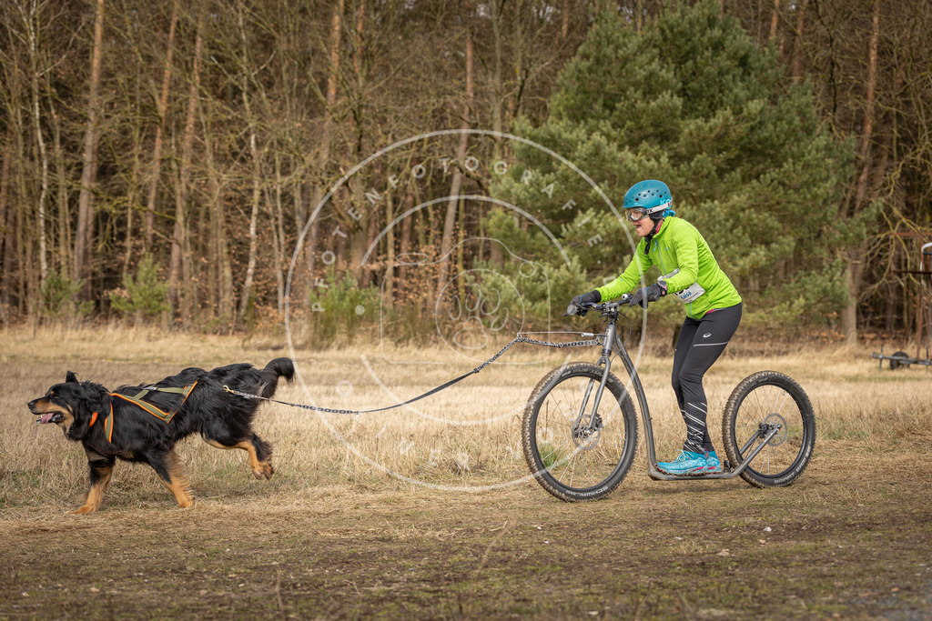 DV3A4853 | Hundefotografie, Tierfotograf, Pfotenfotografie, Fotoshooting Hund, Hunde Portrait, Hundesport, Hundeportraits, Heideshooting, Hunde, Sportfotograf, Hundefotograf, Turnierhundsport, THS,  - Realisiert mit Pictrs.com