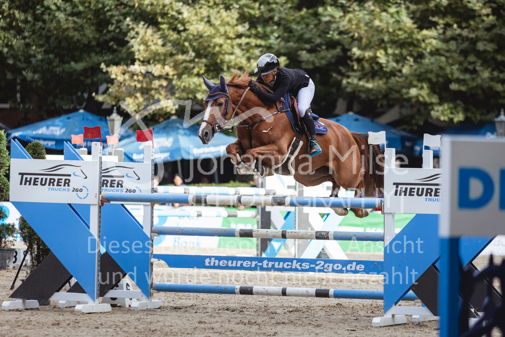 240915_OWLCh_Youngster6y-526 | Deine schönsten Turniermomente als professionelle Fotos! Entdecke hochwertige Pferdesport-Fotografie im Online-Shop. Jetzt Fotos finden & bestellen!