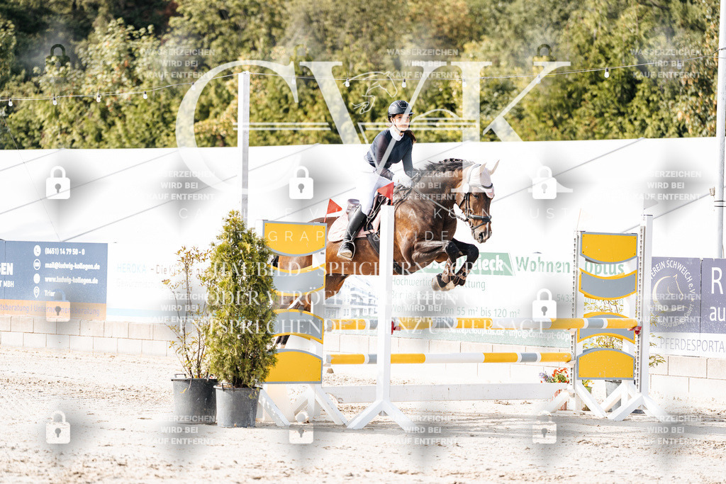 CK905599 | Turnierfotografie Pferdefotografie Trier Rheinland-Pfalz Pferdesport Reitsport Tierfotografie Sportfotografie Pferdevideo Pferdevideografie Equestrianvideography equestrianphotography  - Realisiert mit Pictrs.com