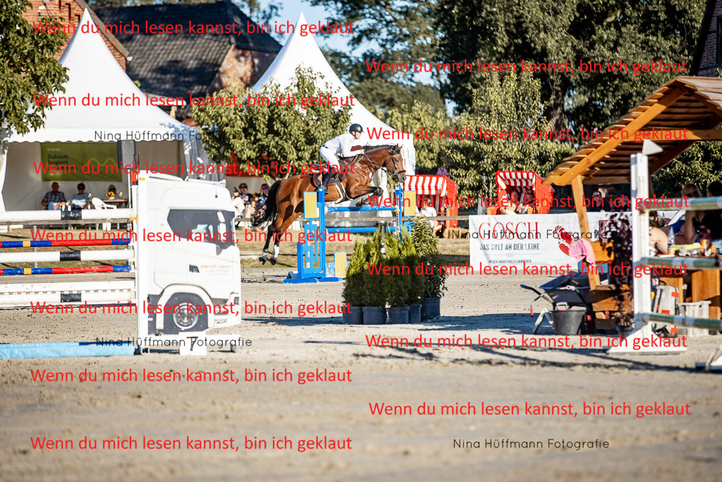 BK1A8414 | Turnierbilder Turnierfotos Nina Hüffmann Turnierfotografie Pferdefotografie Tierzeichnung Haustierzeichnung Pferdezeichnung Hundezeichnung Videograf  - Realisiert mit Pictrs.com