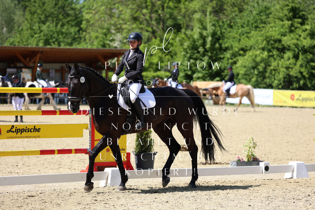 IMGS3920 | pl-fotografie