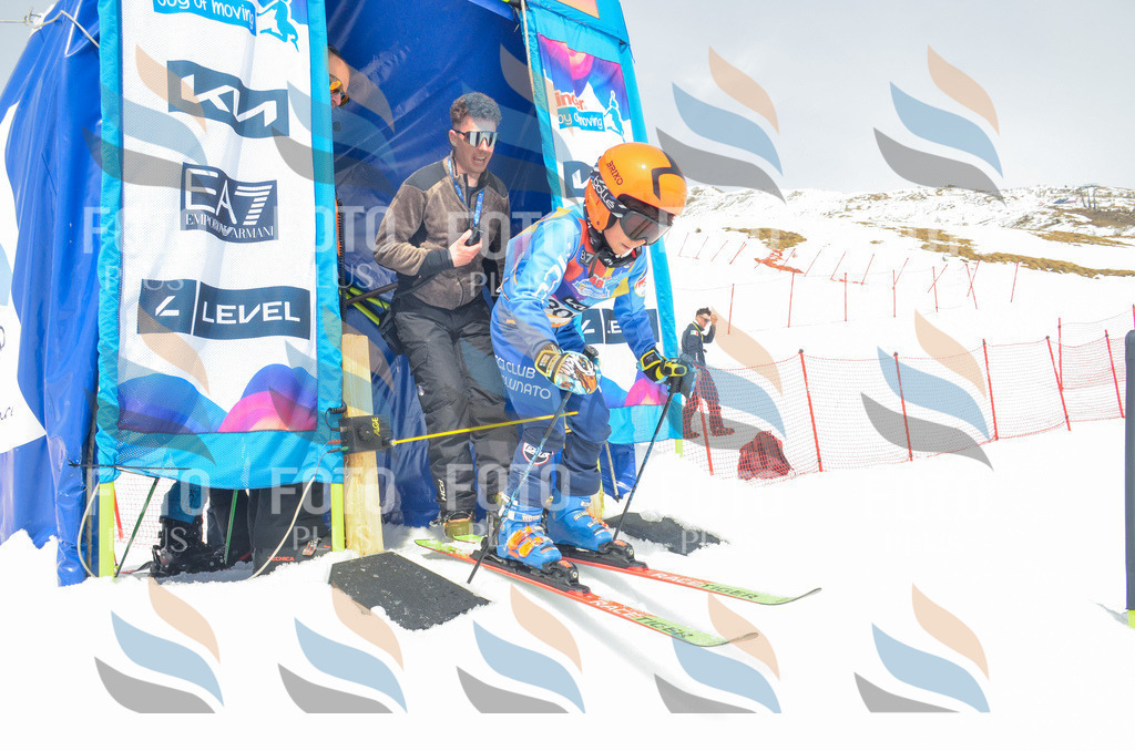 _ELE8372 | holidayphoto