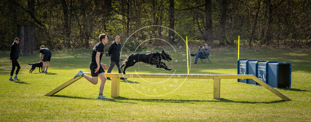 Pfotenfotografie_DV3A3133 | Hundefotografie, Tierfotograf, Pfotenfotografie, Fotoshooting Hund, Hunde Portrait, Hundesport, Hundeportraits, Heideshooting, Hunde, Sportfotograf, Hundefotograf, Turnierhundsport, THS,  - Realisiert mit Pictrs.com