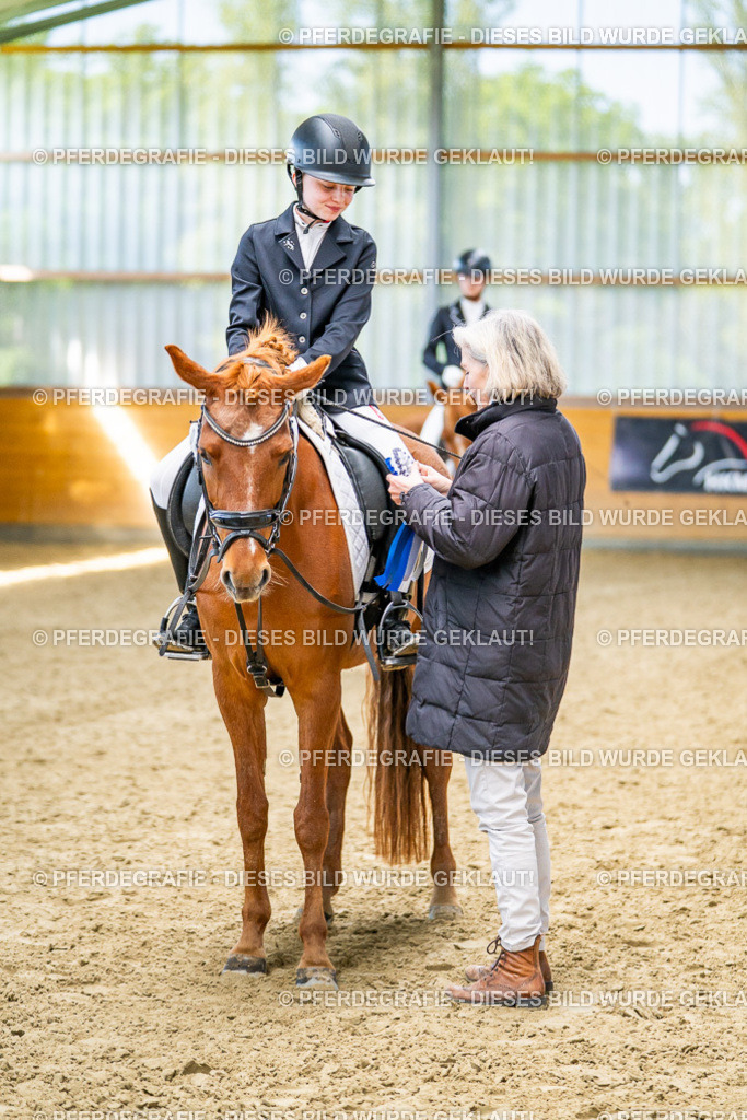 DSC03462 | Pferdegrafie