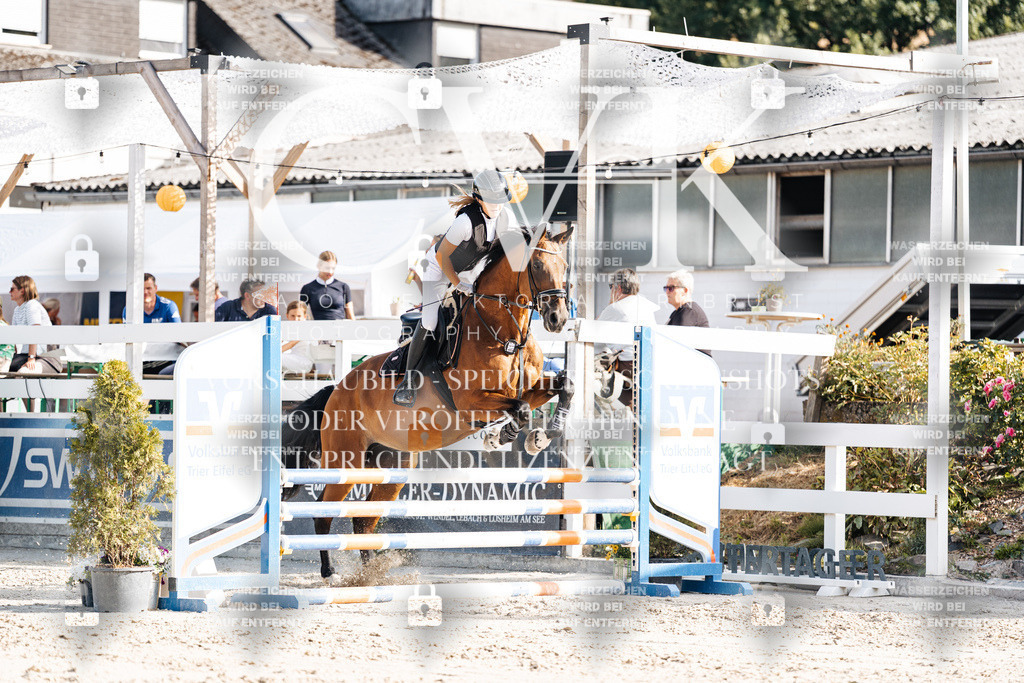 CK909494 | Turnierfotografie Pferdefotografie Trier Rheinland-Pfalz Pferdesport Reitsport Tierfotografie Sportfotografie Pferdevideo Pferdevideografie Equestrianvideography equestrianphotography  - Realisiert mit Pictrs.com