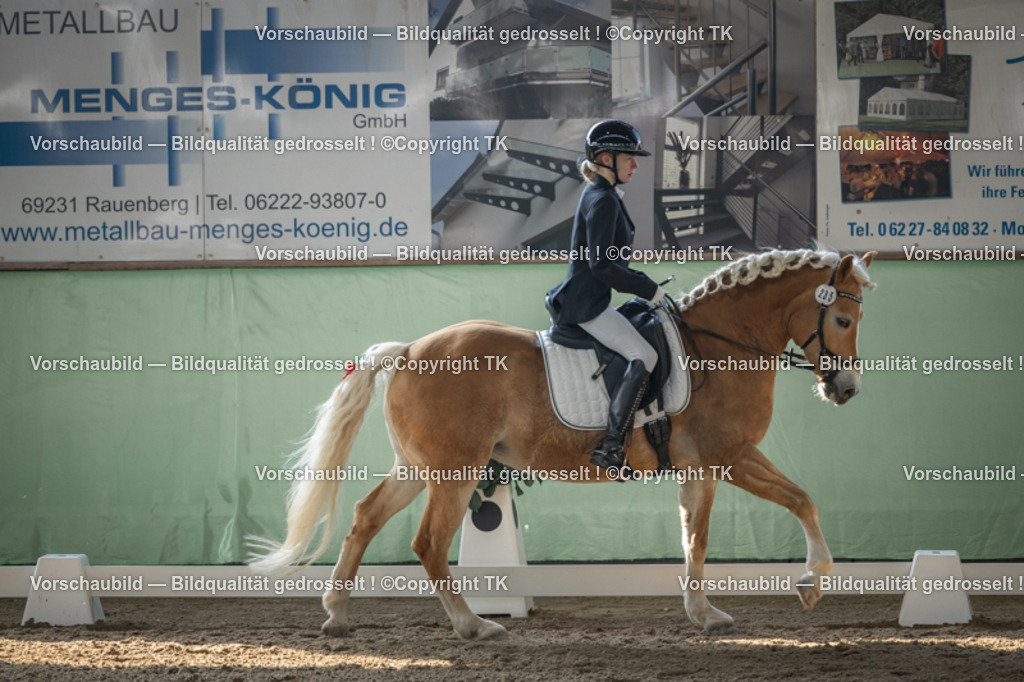 _D5A8311 | Emotionale Pferde- & People-Fotografie rund um Heidelberg, Leimen & Umgebung. Natürliche Fotos von Pferd, Mensch & Familie. Jetzt Termin sichern!