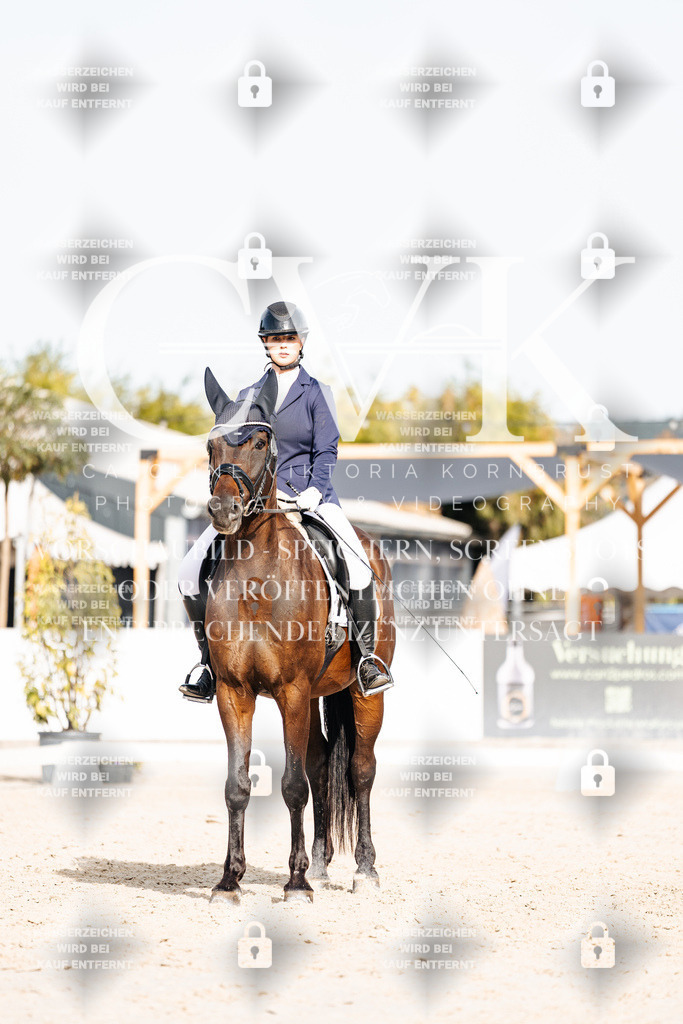 CK904999 | Turnierfotografie Pferdefotografie Trier Rheinland-Pfalz Pferdesport Reitsport Tierfotografie Sportfotografie Pferdevideo Pferdevideografie Equestrianvideography equestrianphotography  - Realisiert mit Pictrs.com
