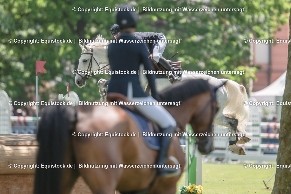 20230527_12_CSI4_Pfungstädter_0089 | equistock