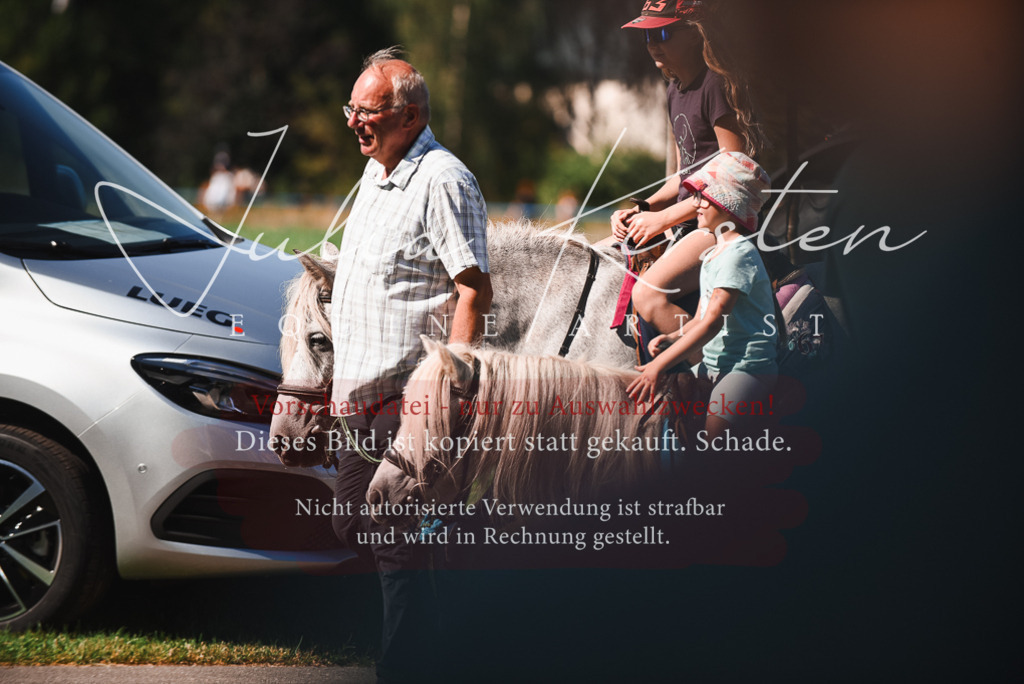 DSC_2679 | Pferde- und Turnierfotografie in Westsachsen. Pferdeportraits, Auftragszeichnungen und intuitive Kunst.