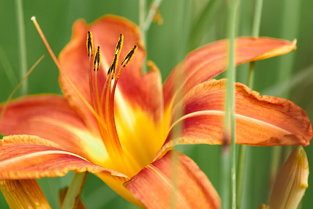 Sonnentrichter | Ich erzähle Geschichten als Autor und als Fotograf. Hier finden Sie hochwertige Naturfotografie, Reisefotografien und Bilder aus dem urbanen Lebensraum.  - Realisiert mit Pictrs.com