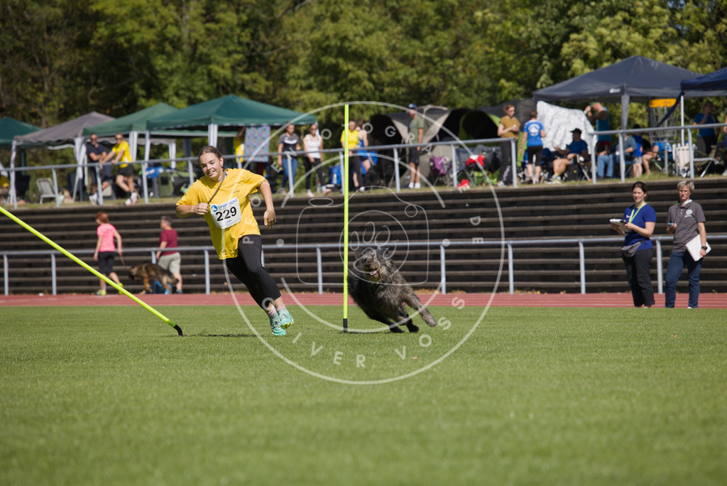 0L8A7226 | Hundefotografie, Tierfotograf, Pfotenfotografie, Fotoshooting Hund, Hunde Portrait, Hundesport, Hundeportraits, Heideshooting, Hunde, Sportfotograf, Hundefotograf, Turnierhundsport, THS,  - Realisiert mit Pictrs.com