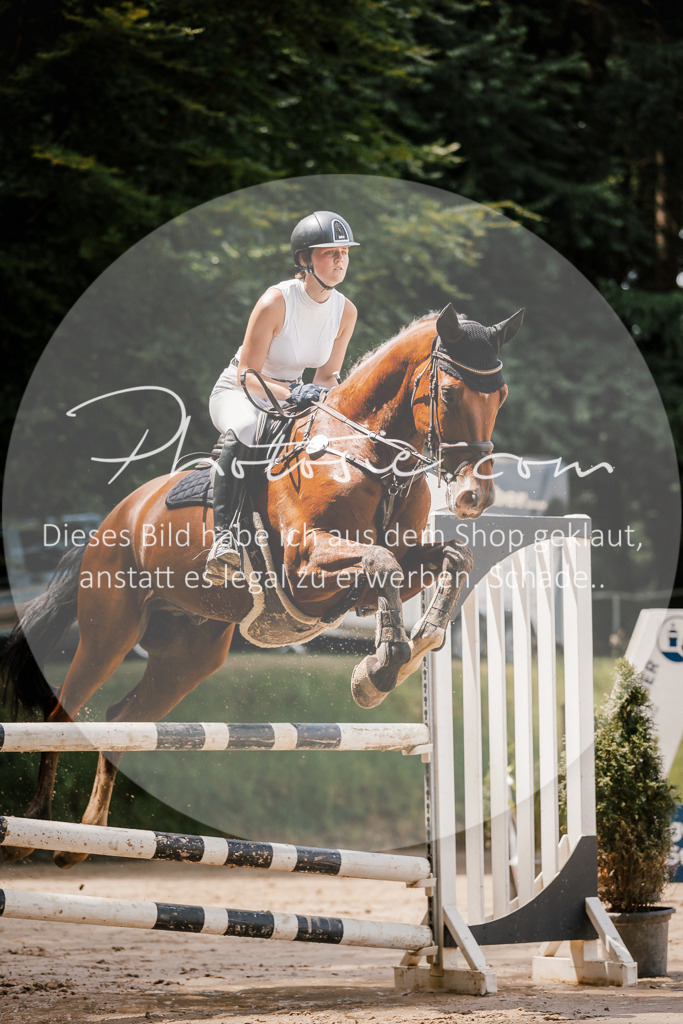 3I6A7833 | Stimmungsvolle Portraits und Reitsportfotografie im Ruhrgebiet und im Münsterland.

Pferdefotografie, Hundefotografie, Tierfotografie, Reportagen, Portraits von Tier und Mensch, Turnierfotografie in Bochum, Recklinghausen, Marl, Haltern am See, Dülmen.. - Realisiert mit Pictrs.com
