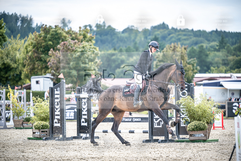 DOS_2792 | Entdecke hochwertige Reitturnierfotos von Foto Oger. Professionell, emotional und authentisch – jetzt Lieblingsmomente im Shop bestellen. - Realisiert mit Pictrs.com