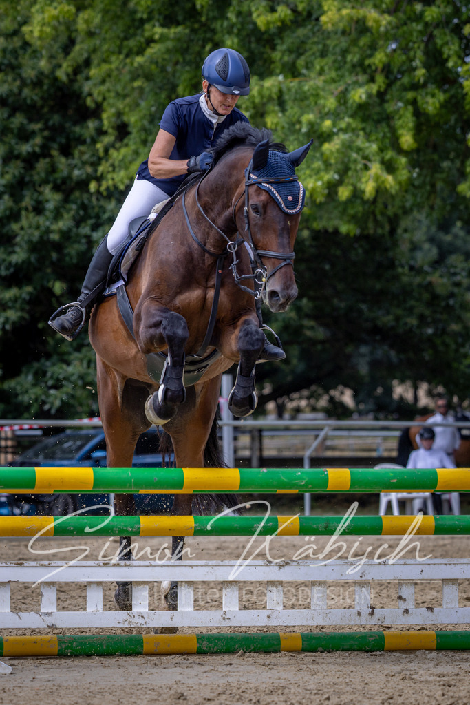 20260704-_3LI0751 | Tierfotografie Pferde, Hunde, Katzen, Haustiere.
Turnierfotografie Reitturniere, Reiten, Springreiten, Dressur in Hanau, dem Main-Kinzig-Kreis und dem Rhein-Main- Gebiet um Frankfurt