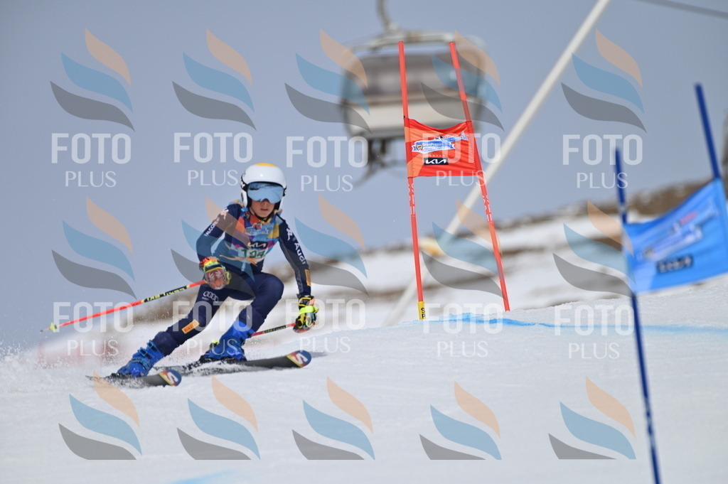 BGV_3723 | holidayphoto