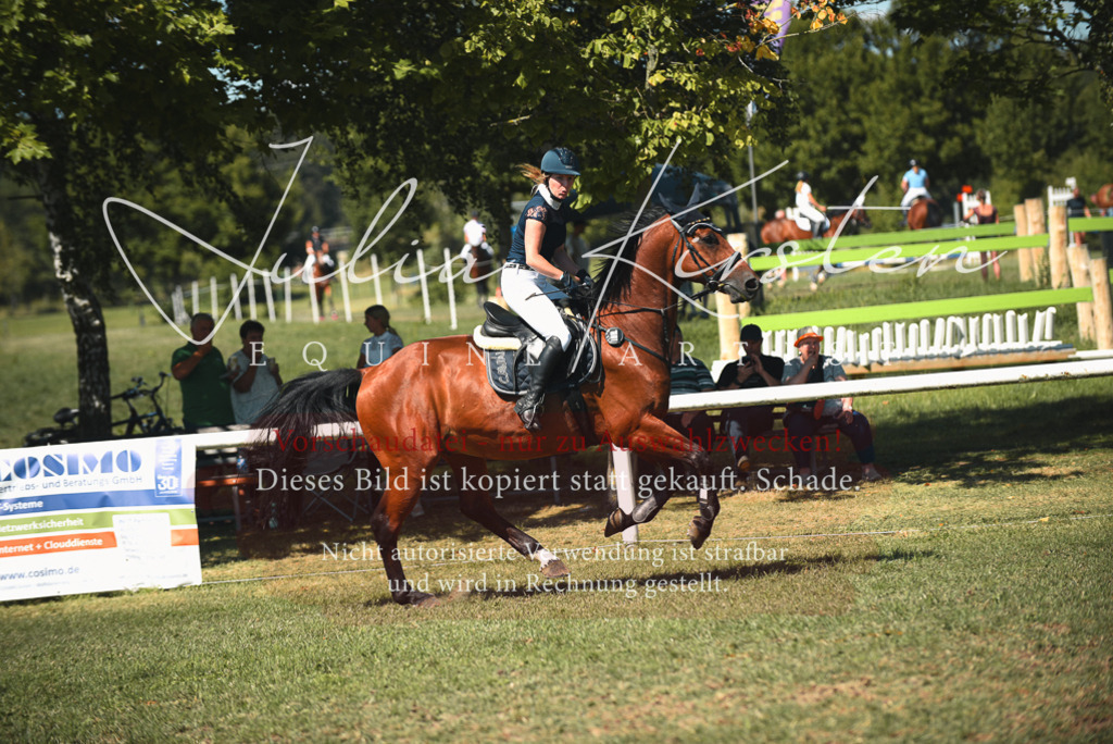 DSC_7052 | Pferde- und Turnierfotografie in Westsachsen. Pferdeportraits, Auftragszeichnungen und intuitive Kunst.