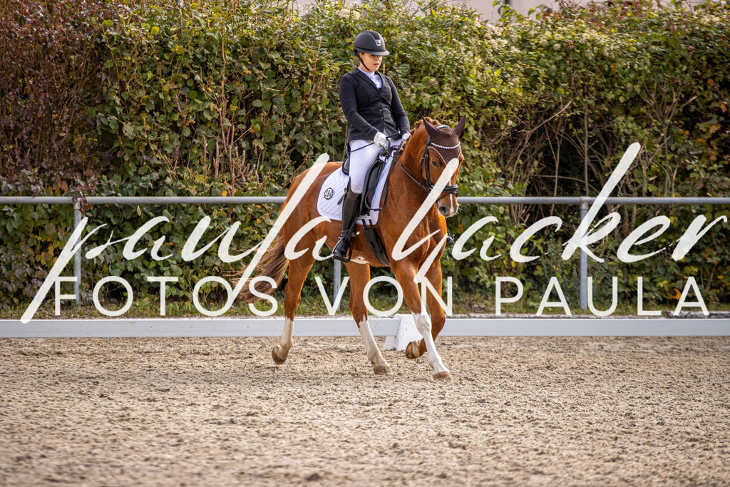 IMG_3327 | Erleben Sie dynamische Sport- und emotionale Tierfotografie in Süddeutschland mit Fotos von Paula. Spezialisiert auf Pferde- und Hundefotografie sowie Sportevents. Kontaktieren Sie mich für einzigartige und ausdrucksstarke Bilder Ihrer besonderen Momente.