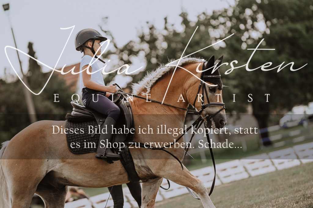 DSC_7674 | Pferde- und Turnierfotografie in Westsachsen. Pferdeportraits, Auftragszeichnungen und intuitive Kunst.