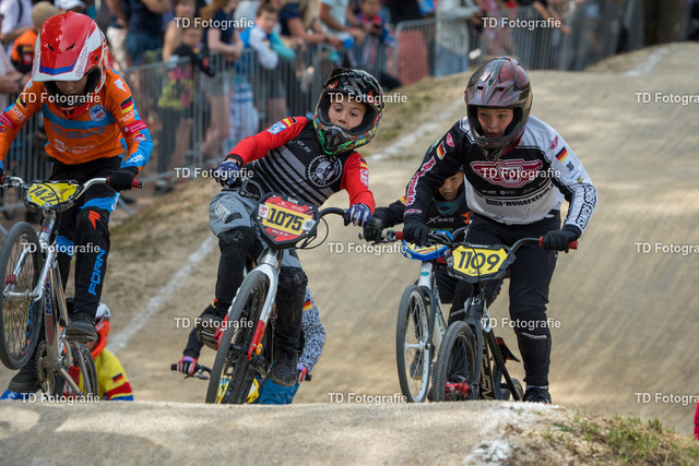 DM_BMX_Race_2025-07049 | Fotogalerie von Thomas Dettweiler mit Eventbildern und lizenzfreien Fotos. Perfekt als Wandbild, für Büro, Website oder private Nutzung. - Realisiert mit Pictrs.com