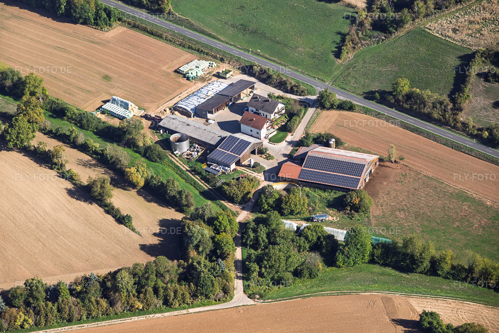 Luftbild: Aussiedlerhof Hebachhof im Ortsteil Radheim in Schaafheim im Bundesland Hessen in Deutschland. – Foto: IMG_159138.jpg vom 22.09.2026 durch Werner Riehm/FLY-FOTO.de – Auflösung des Originals: 6000 x 4000 px