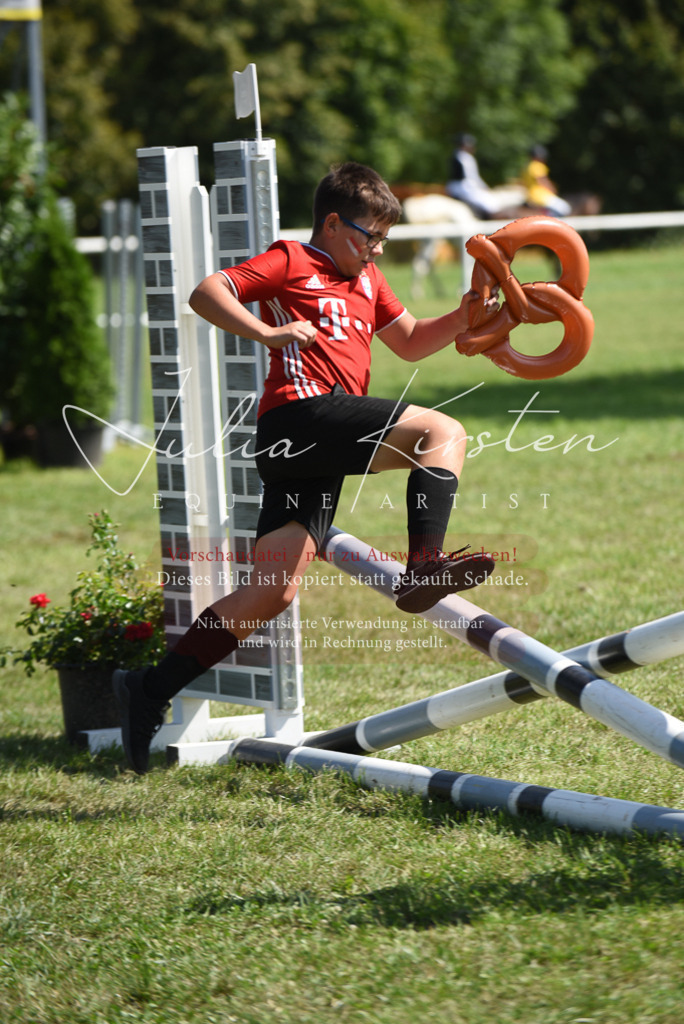 DSC_0384 | Pferde- und Turnierfotografie in Westsachsen. Pferdeportraits, Auftragszeichnungen und intuitive Kunst.