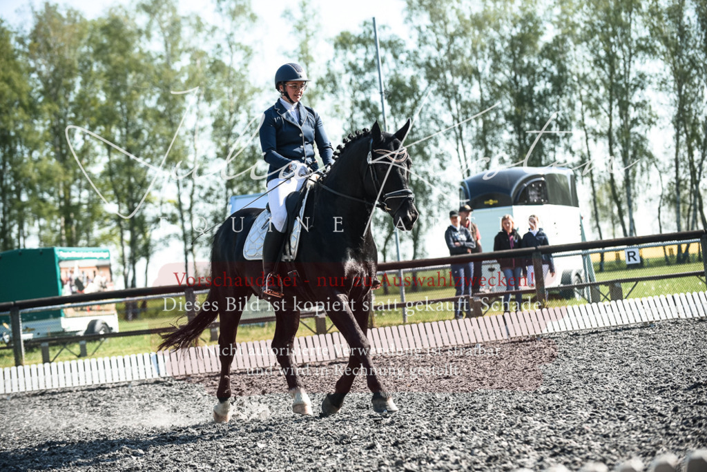 DSC_8474 | Pferde- und Turnierfotografie in Westsachsen. Pferdeportraits, Auftragszeichnungen und intuitive Kunst.
