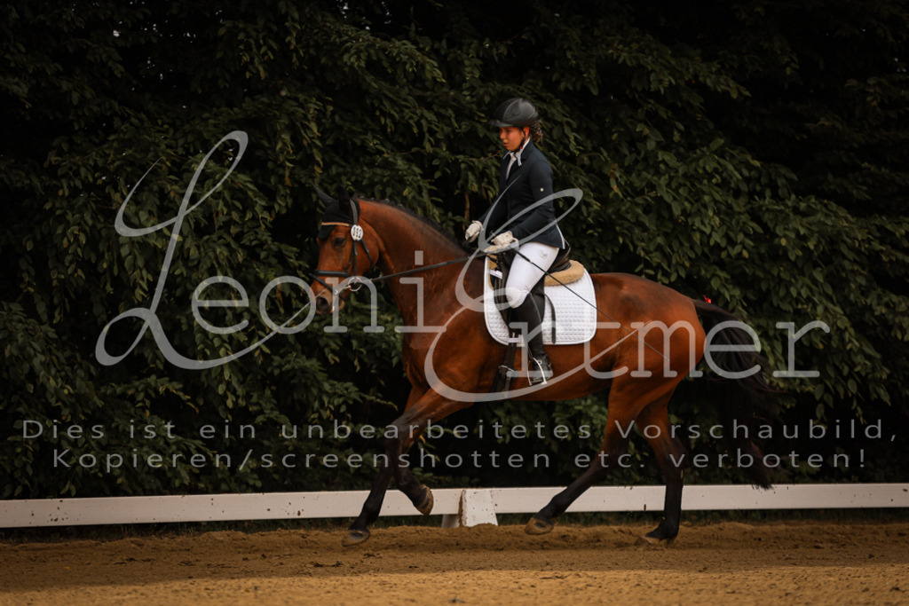 DoDrE00075 | Leoni Ertmer Photography - Realisiert mit Pictrs.com