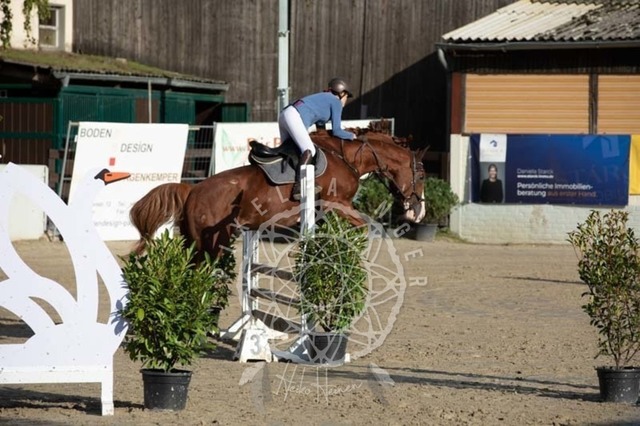 2B4A3921 | pixelfaenger - Realisiert mit Pictrs.com