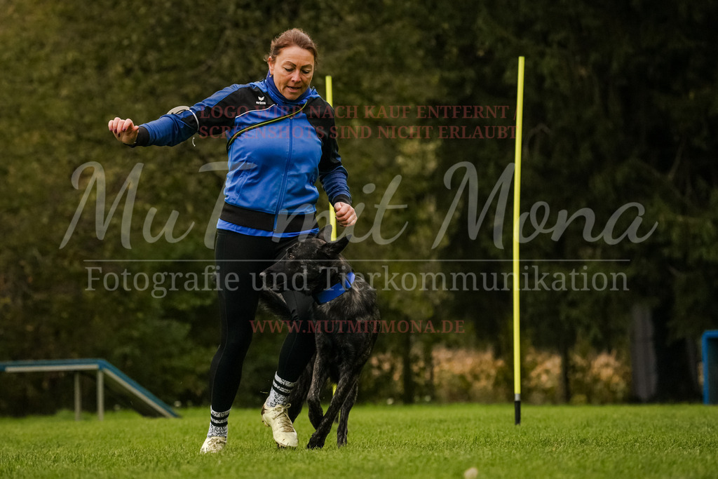 20251005_THS_Turnier-437 | MuT (Mensch und Tier) mit Mona - Fotografie und Tierkommunikation - Realisiert mit Pictrs.com