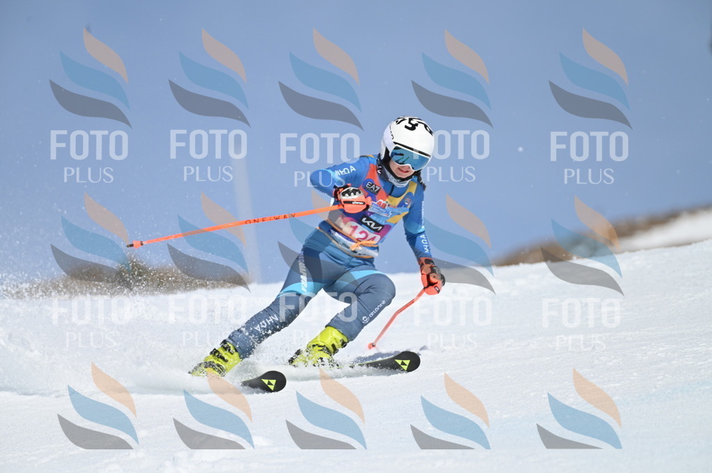 BGV_9875 | holidayphoto