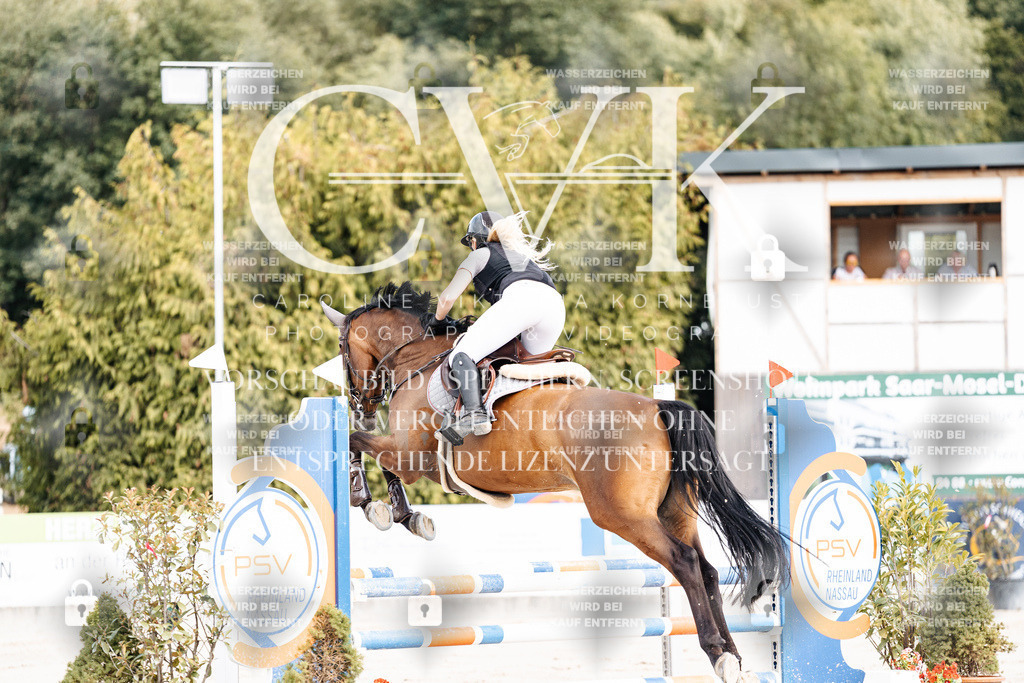 CK908966 | Turnierfotografie Pferdefotografie Trier Rheinland-Pfalz Pferdesport Reitsport Tierfotografie Sportfotografie Pferdevideo Pferdevideografie Equestrianvideography equestrianphotography  - Realisiert mit Pictrs.com