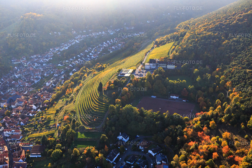 Luftbild: Arens Hotel 327m NN zwischen Wald, Sportplatz Sankt Martin und Weinbergen im Ortsteil SaintMartin in Sankt Martin im Bundesland Rheinland-Pfalz in Deutschland. Foto: IMG_095625.jpg vom 30.10.2016 durch Werner Riehm/FLY-FOTO.deArens 327