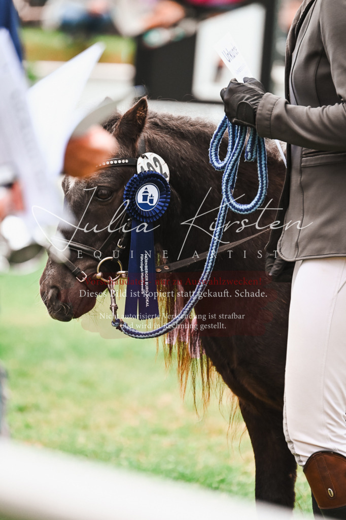 DSC_7468 | Pferde- und Turnierfotografie in Westsachsen. Pferdeportraits, Auftragszeichnungen und intuitive Kunst.