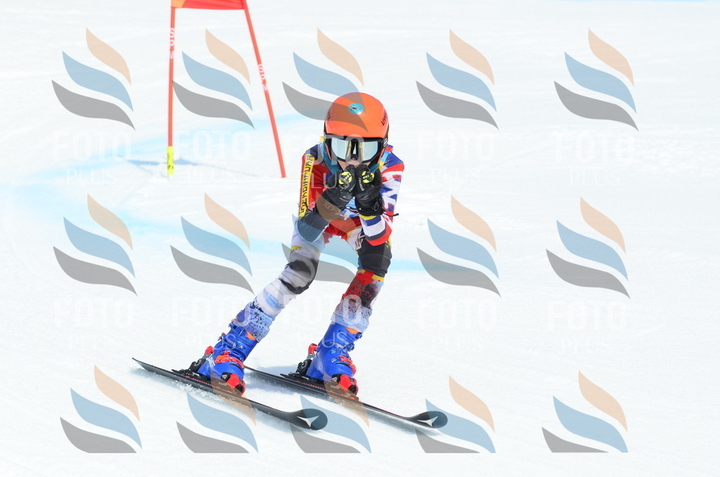 _ELE2402 | holidayphoto