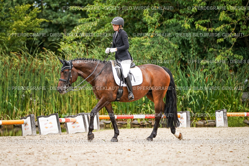 DSC04722 | Pferdegrafie