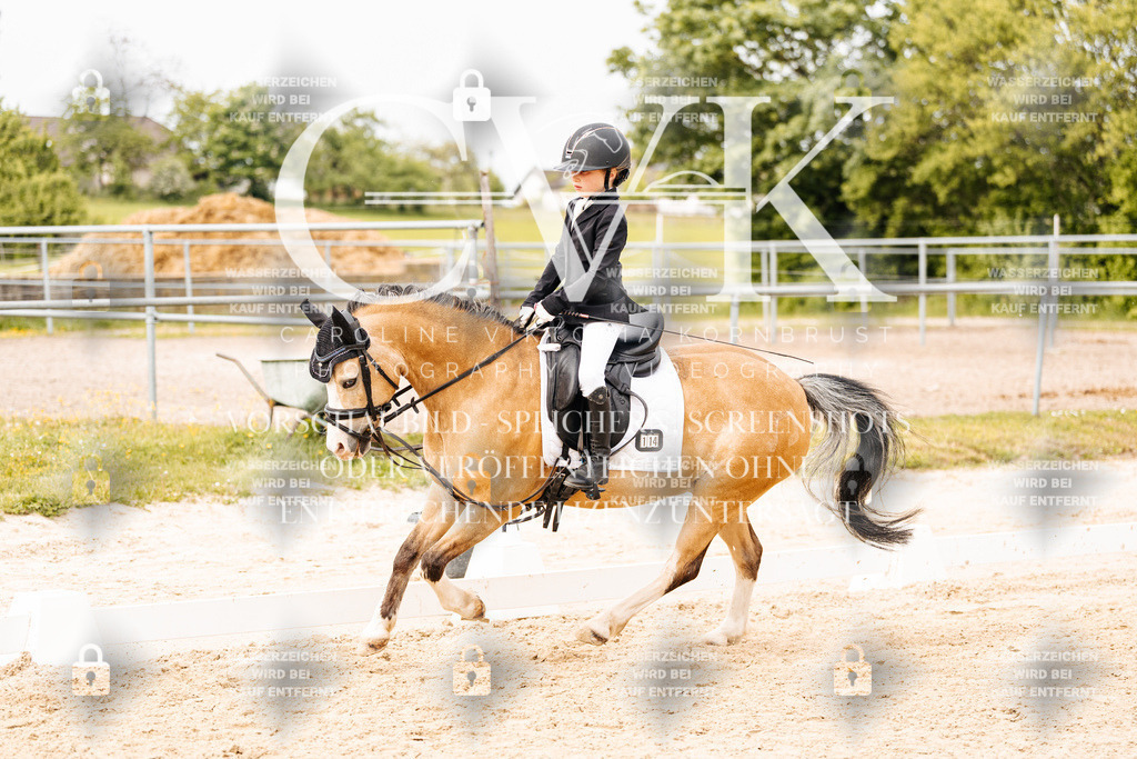 CK904664 | Turnierfotografie Pferdefotografie Trier Rheinland-Pfalz Pferdesport Reitsport Tierfotografie Sportfotografie Pferdevideo Pferdevideografie Equestrianvideography equestrianphotography  - Realisiert mit Pictrs.com