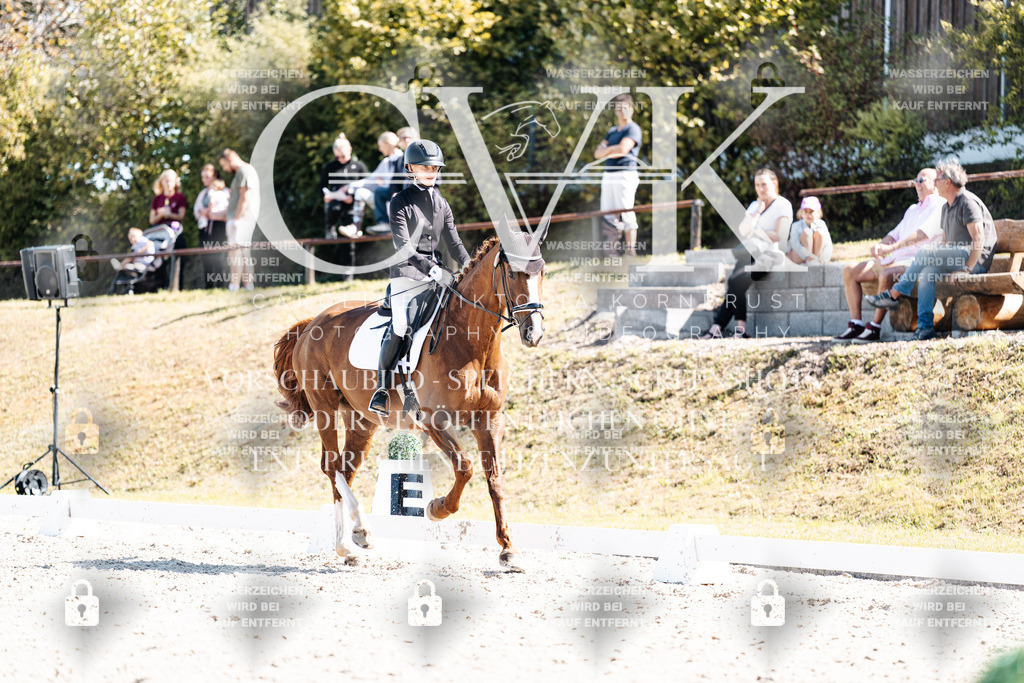 CK903969 | Turnierfotografie Pferdefotografie Trier Rheinland-Pfalz Pferdesport Reitsport Tierfotografie Sportfotografie Pferdevideo Pferdevideografie Equestrianvideography equestrianphotography  - Realisiert mit Pictrs.com