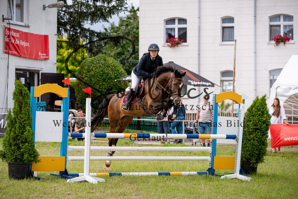 A7V05274 | Pferdefotograf