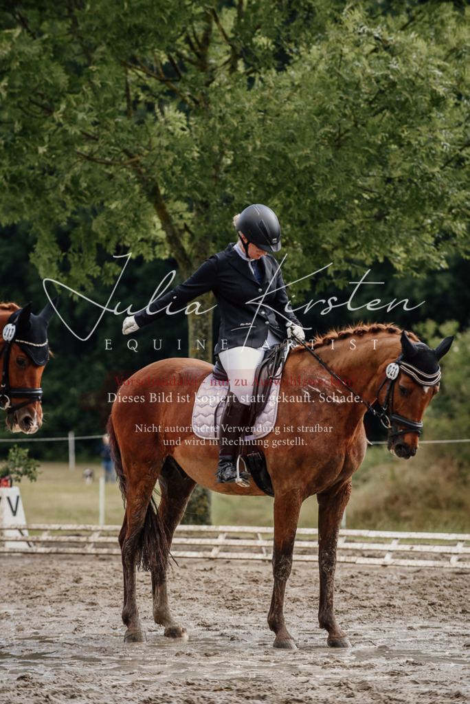 DSC_8976 | Pferde- und Turnierfotografie in Westsachsen. Pferdeportraits, Auftragszeichnungen und intuitive Kunst.