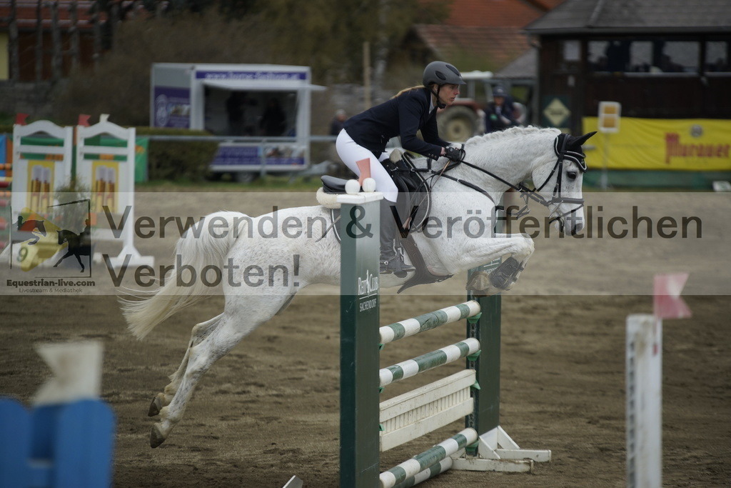 _DSC7419 | equestrian-live-com