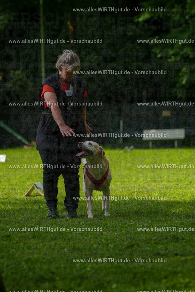@allesWIRTHgut_Tierfotografie - www.allesWIRTHgut.de - 7R502224 | Professionelle Tierfotografie in Mönchengladbach von Daniel Wirth (allesWIRTHgut). Liebevolle & natürliche Bilder von Hunden & Katzen für unvergessliche Erinnerungen.