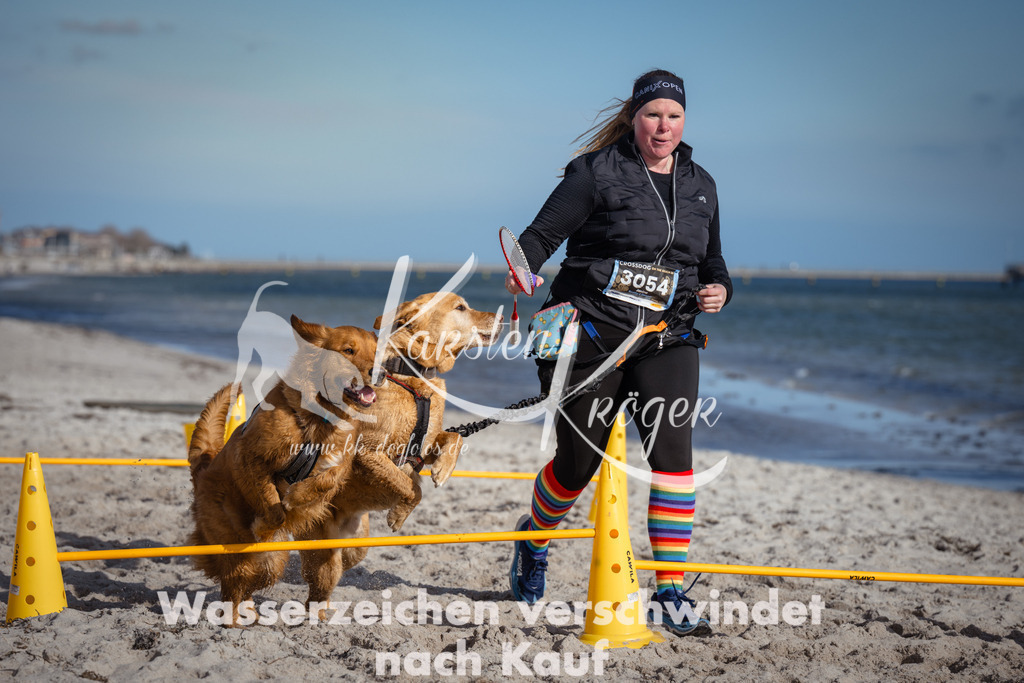 1343_ZZ92998 | kk-dogfotos