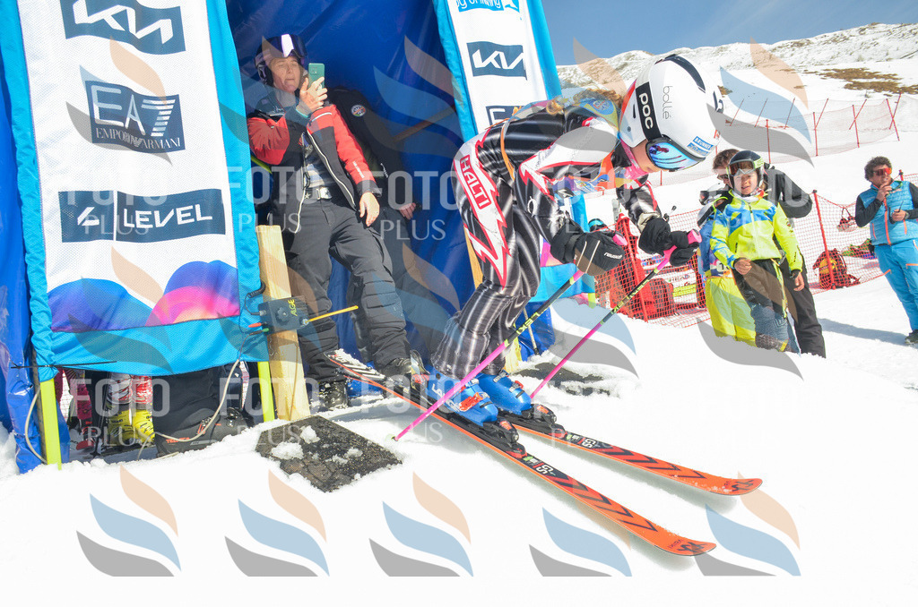 _ELE5501 | holidayphoto