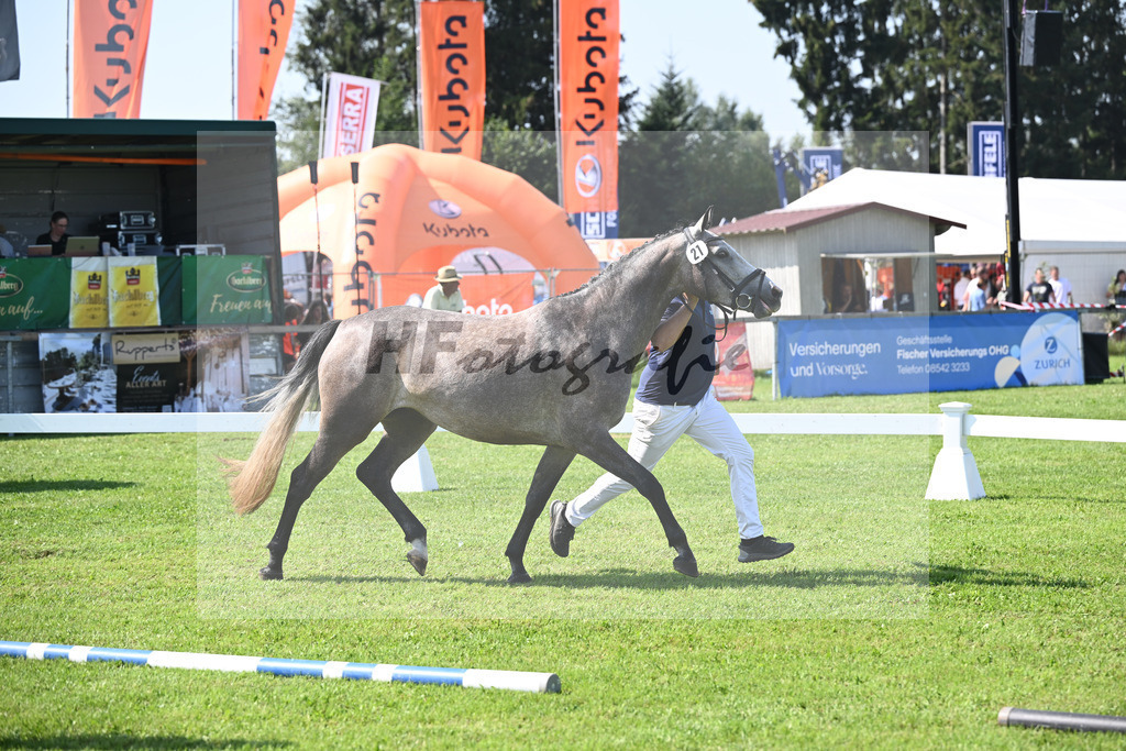 Kat-Nr. 21 nn v. Vingino_Hoffmeister_34240497 | hf-fotografie - Realisiert mit Pictrs.com