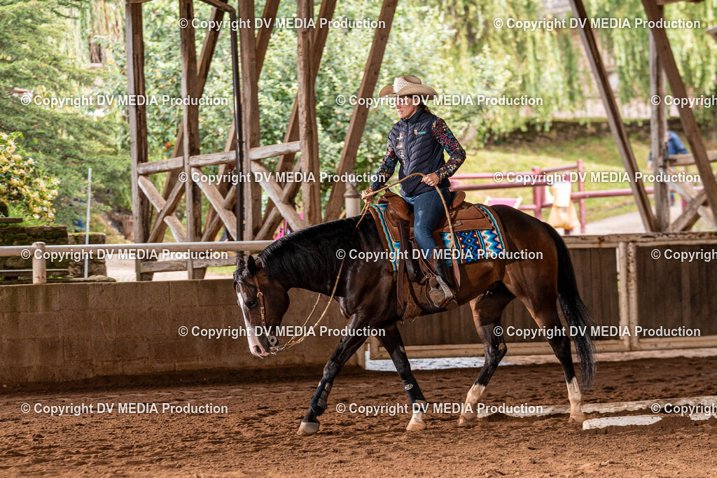 Erbach Tag 2-113 | dv-media-shop - Realisiert mit Pictrs.com