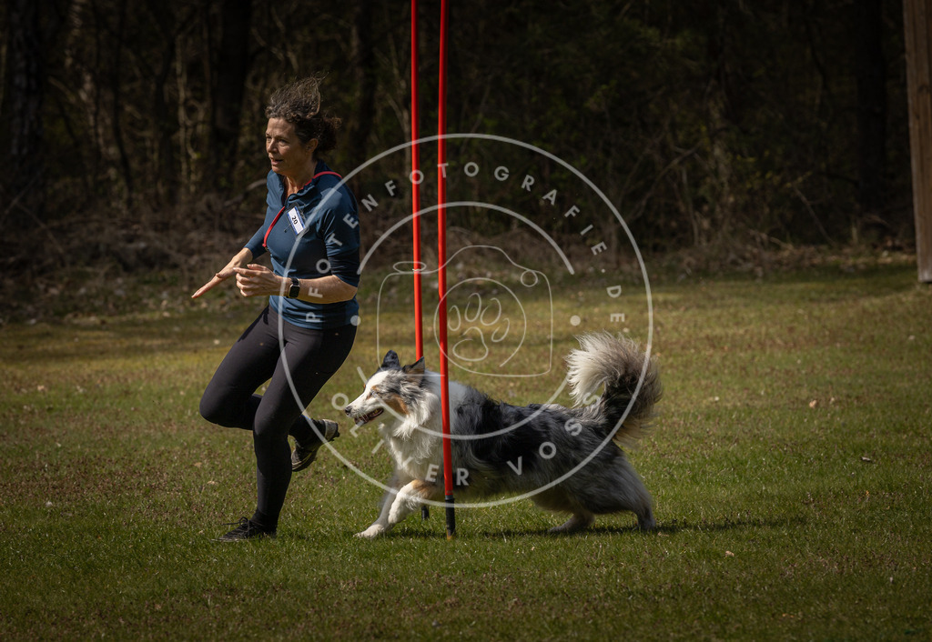 Pfotenfotografie_DV3A4293 | Hundefotografie, Tierfotograf, Pfotenfotografie, Fotoshooting Hund, Hunde Portrait, Hundesport, Hundeportraits, Heideshooting, Hunde, Sportfotograf, Hundefotograf, Turnierhundsport, THS,  - Realisiert mit Pictrs.com