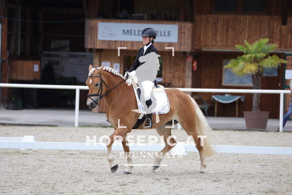 0P6A5227 | Willkommen bei Brunnmayr - Design & Fotografie – Ihrem Spezialisten für Reitturniere und Pferdeveranstaltungen in Oberösterreich, Salzburg und Bayern! Seit über 17 Jahren sind wir leidenschaftlich dabei.